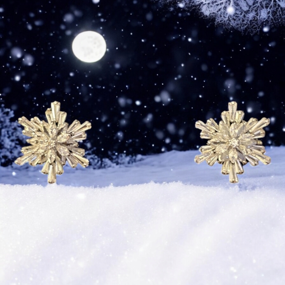 Snowflake Earrings